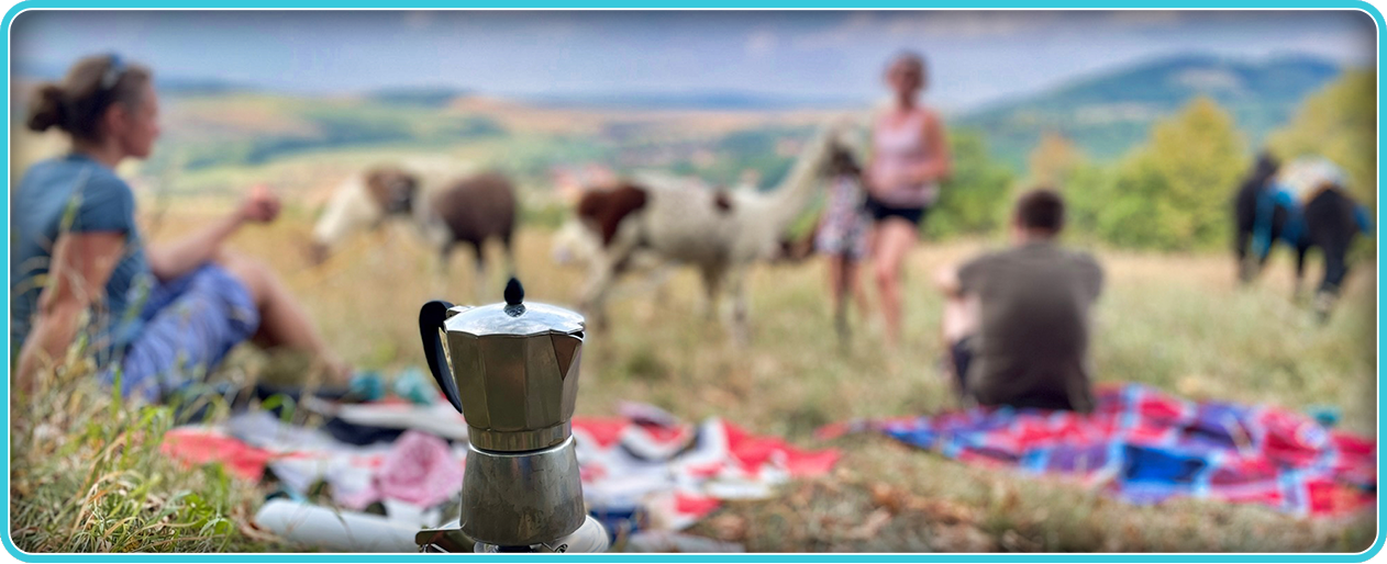 LamaPiknik v chřibském lese