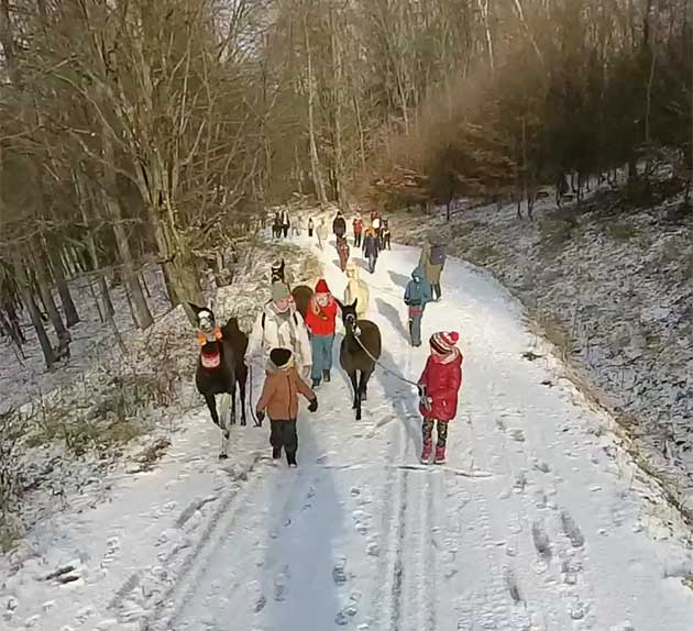 LamaPiknik v chřibském lese