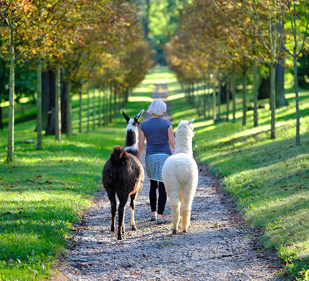 Agroturistika v zámeckém parku Koryčany