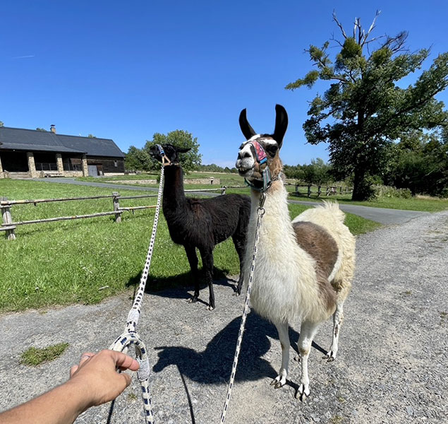 Agroturistika v Chřibech